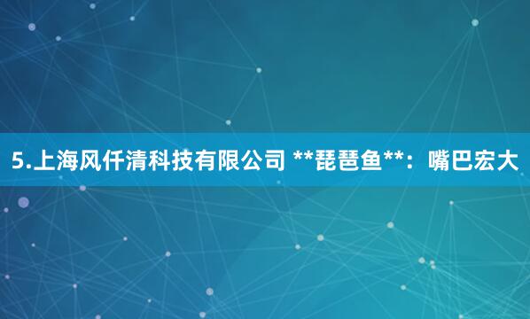 5.上海风仟清科技有限公司 **琵琶鱼**:嘴巴宏大