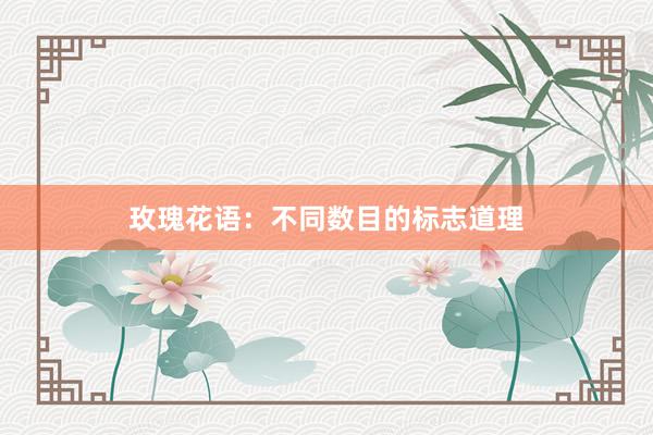 玫瑰花语：不同数目的标志道理
